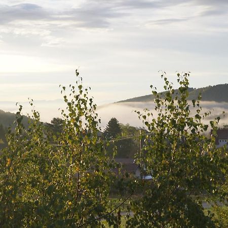 Gites Du Taennchel تينانْكيرْكْ المظهر الخارجي الصورة